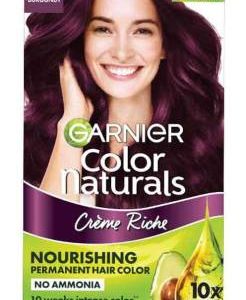 GARNIER 3.16 Burgundy 30ml+32g , Hair ColorNaturalsShade