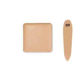 Recode Concealer Refill-3.50 GMS Shade - 9