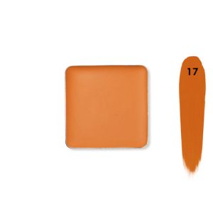 Recode Concealer Refill-3.50 GMS Shade - 17