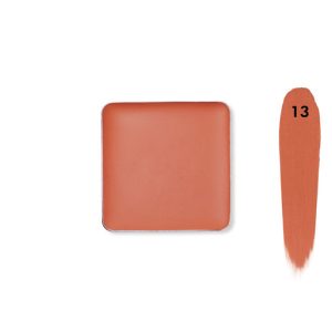 Recode Concealer Refill-3.50 GMS Shade - 13