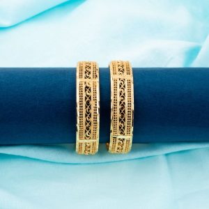 Shree Hari Bangles - DBG8739