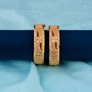 Shree Hari Bangles - DCC541