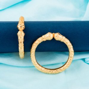 Shree Hari Bangles - DFB401