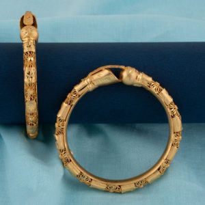 Shree Hari Bangles - DFB601