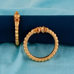 Shree Hari Bangles - DFB654RY