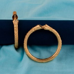 Shree Hari Bangles - DFB729