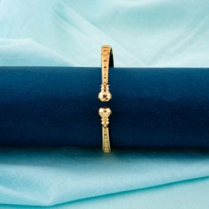 Shree Hari Bangles - DFX1280