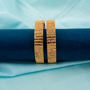 Shree Hari Bangles - DSP2682
