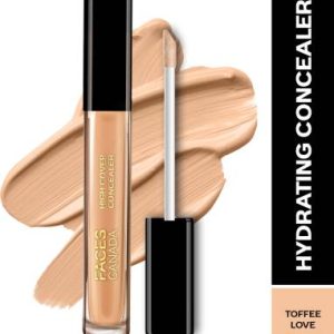 FACES CANADA High Cover Concealer - Concealer(Toffee Love 04, 4 ml)
