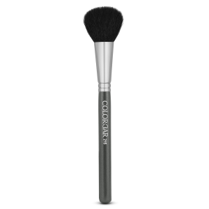 Color Bar Pro Blush Brush
