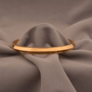Shree Hari Bangles - DBG680