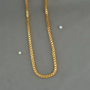 Shree Hari Chain - DCN5842