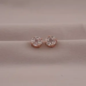 Shree Hari Earring - DSM3977RSW