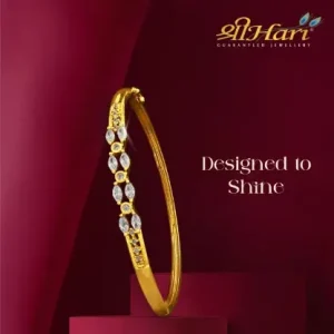Shree Hari Bangles - DAFX50W