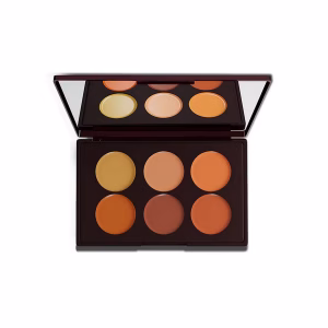 COLOR BAR  24Hrs Wear Concealer Palette - Medium Deep 002, 7.5 gm