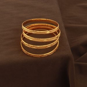 Shree Hari Bangles - DBG708