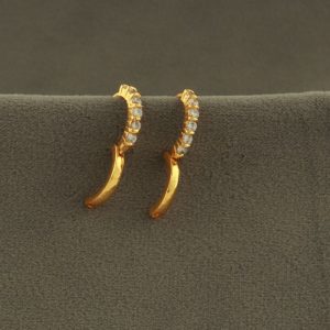 Shree Hari Earring - DBL1552W