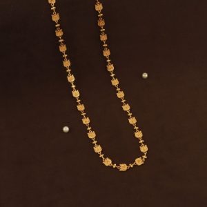 Shree Hari Chain - DCN5493