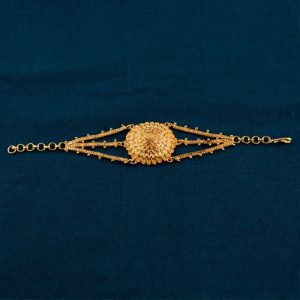 Shree Hari Mantasha - DMT397