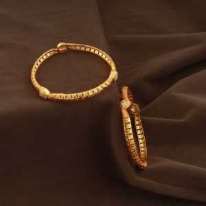 Shree Hari Bangles - DSP3119