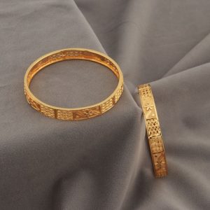 Shree Hari Bangles - DSP3244
