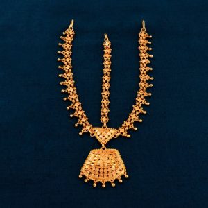 Shree Hari Damini - DTT516