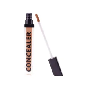 Forever 52 Daily Life Forever52 Coverup Concealer - Cinnamon 30.4