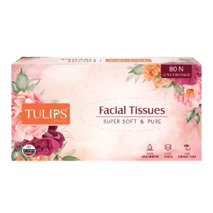 Premium Facial Tissue Paper (3 Ply, 80 Pulls)