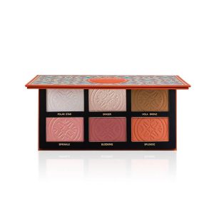 IMAGIC PROfessional Comprehensive Face Palette for women Girls, 6 COLOR HIGHLIGHT,BLUSH AND CONTOUR PALETTE 24g